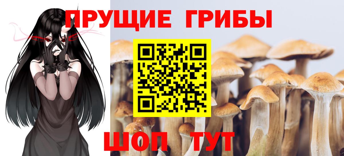 Псилоцибиновые грибы мицелий  Вход с VPN  Калининград 